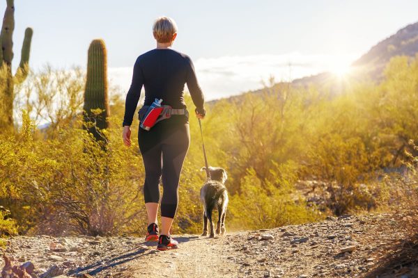 Dog Safety Law in Arizona